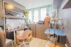 Blk 119 Mcnair Spring (Kallang/Whampoa), HDB 5 Rooms #596429921
